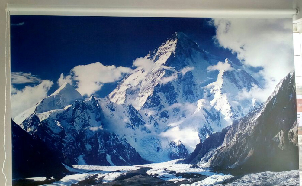 printed roller blinds
